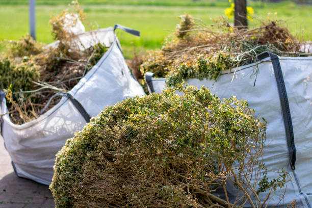Best Basement Cleanout Services  in Columbus, NM