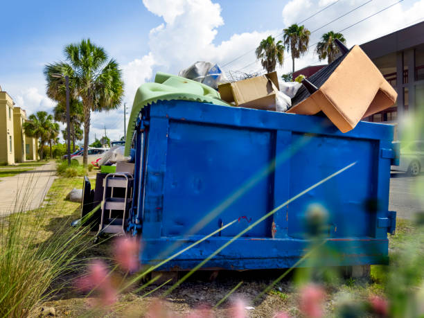 Best Electronics Removal Services  in Columbus, NM